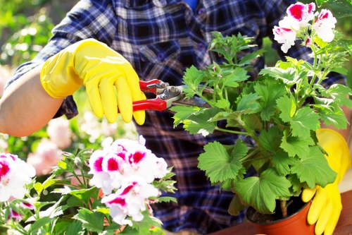 Gardener mowing a lawn with safety gear