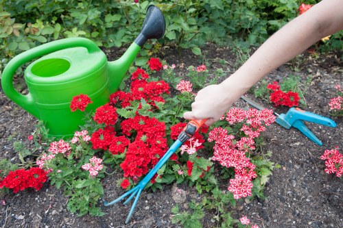 Gardener pruning a hedge in a Wandsworth terrace garden