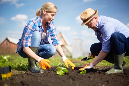 Garden maintenance tools laid out for inspection