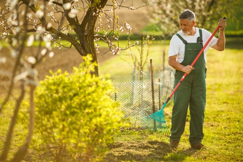 Tools and plants arranged for garden maintenance